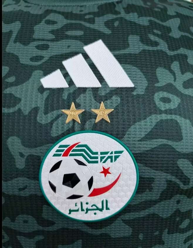 Maillot Entraînement Vert Algérie 2024/2025 🇩🇿 – Édition Performance