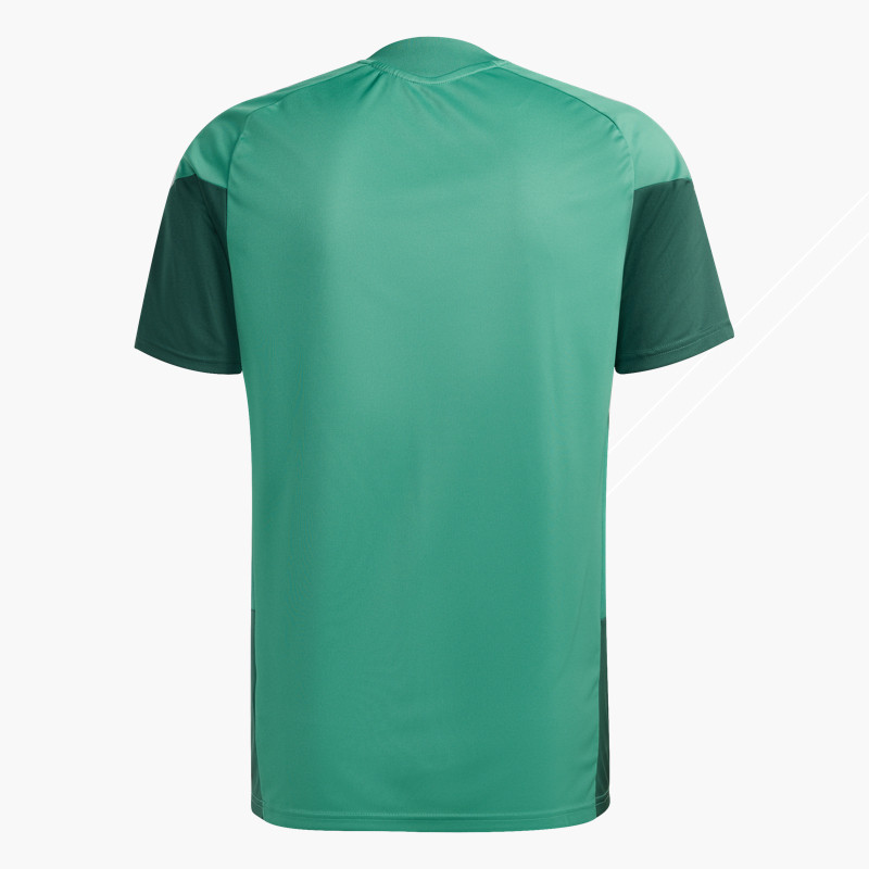 Maillot Entraînement Algérie 2026 – Vert | Tissu Respirant, Ultra Léger & Confort Premium
