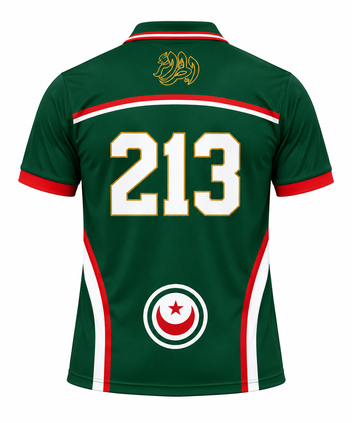 Maillot Algérie Vert Vintage 213 – Édition Rétro Premium