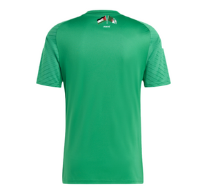 Maillot Algérie vert