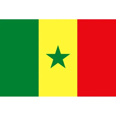Drapeau Pays Africains – Algérie, Maroc, Tunisie & plus – Sénégal – vue 8