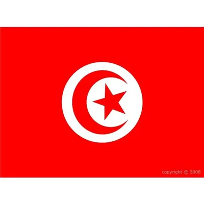 Drapeau Pays Africains – Algérie, Maroc, Tunisie & plus – vue 9